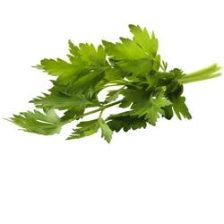 Parsley Italian