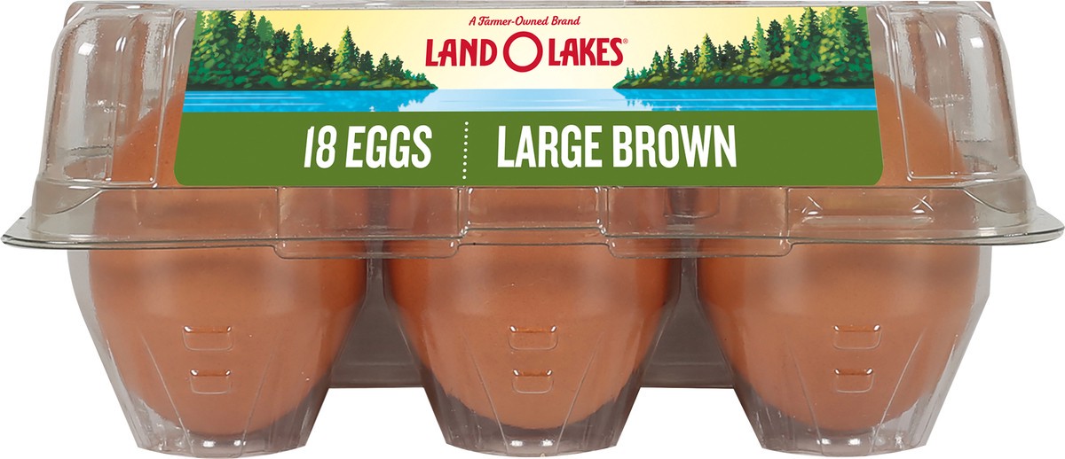 slide 10 of 10, Land O'Lakes Large Brown Eggs, 18 Count, 18 ct