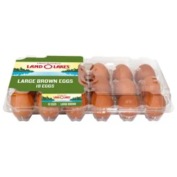 Land O'Lakes Large Brown Eggs, 18 Count