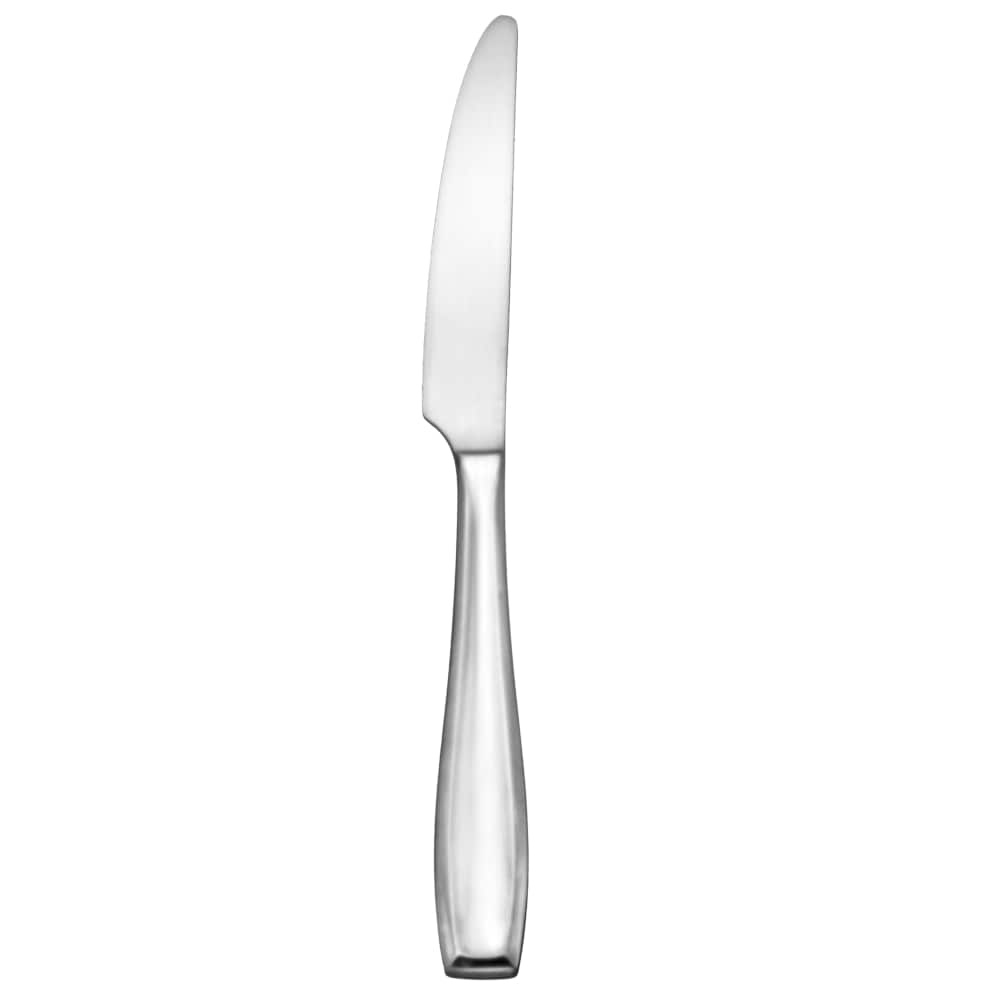 slide 1 of 1, Dash of That Anna Satin Dinner Knife - Silver, 1 ct