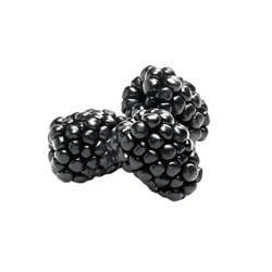 Blackberries