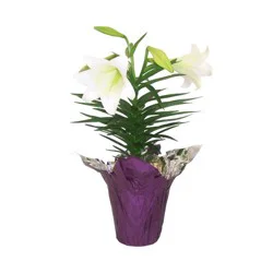 Dry Oriental Mushrooms