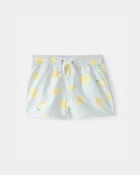 Carters Toddler Boy Lemon Swim Trunks - Blue Grey 4T