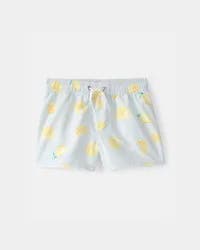 Carters Toddler Boy Lemon Swim Trunks - Blue Grey 4T