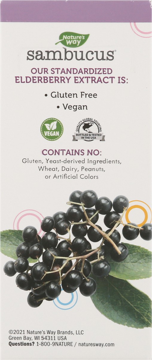 slide 6 of 14, Nature's Way Sambucus Kids Cough Relief + Immune Syrup, 4 fl oz