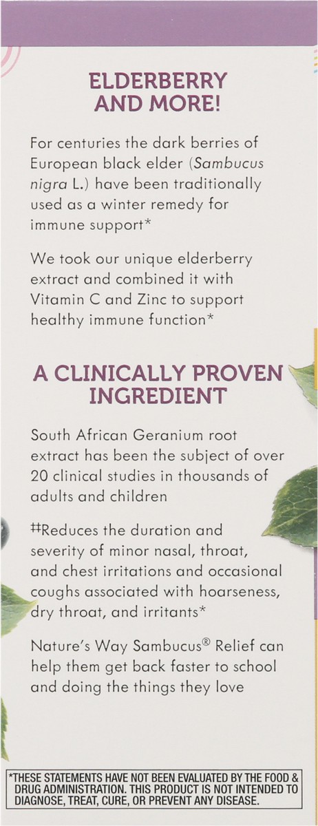 slide 9 of 14, Nature's Way Sambucus Kids Cough Relief + Immune Syrup, 4 fl oz