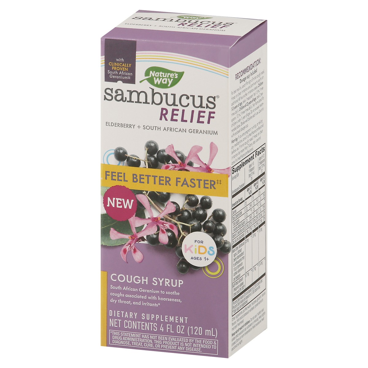slide 4 of 14, Nature's Way Sambucus Kids Cough Relief + Immune Syrup, 4 fl oz