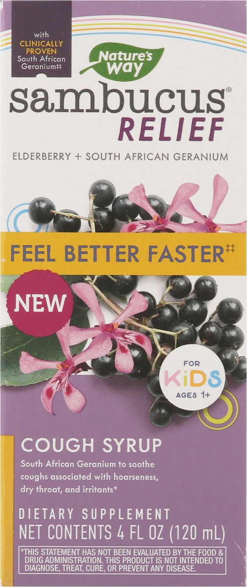 slide 2 of 14, Nature's Way Sambucus Kids Cough Relief + Immune Syrup, 4 fl oz