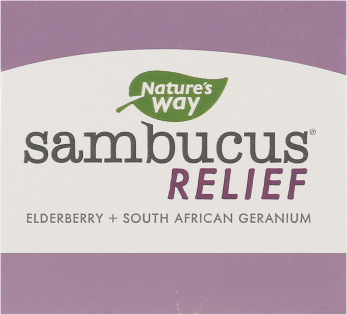 slide 7 of 14, Nature's Way Sambucus Kids Cough Relief + Immune Syrup, 4 fl oz