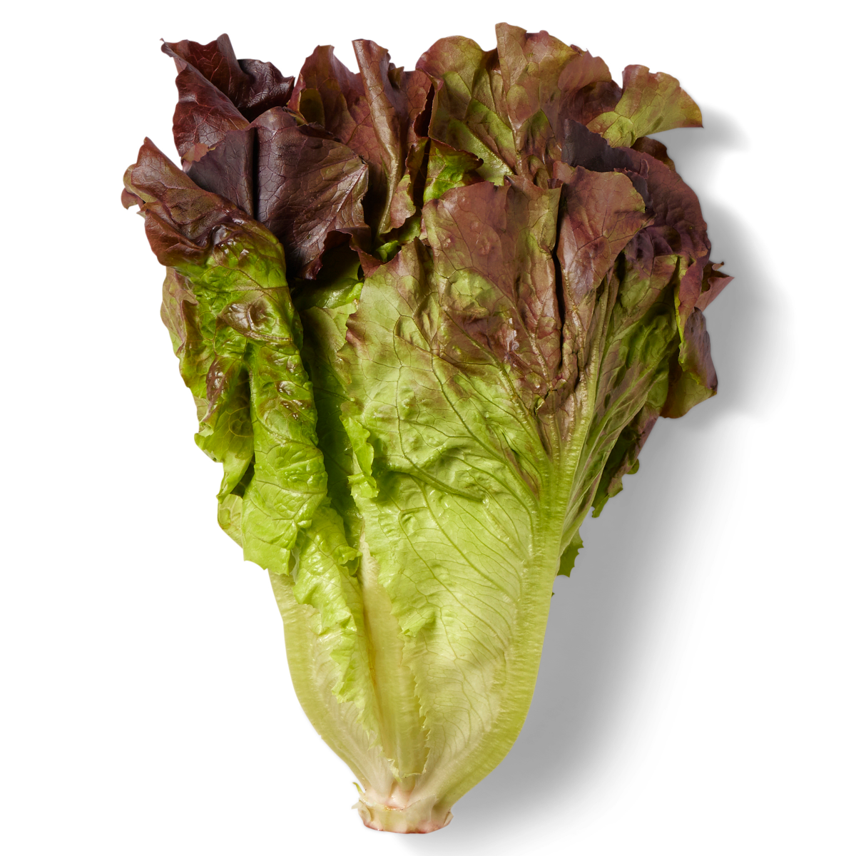 slide 1 of 1, Lettuce - Red Leaf, 1 ct