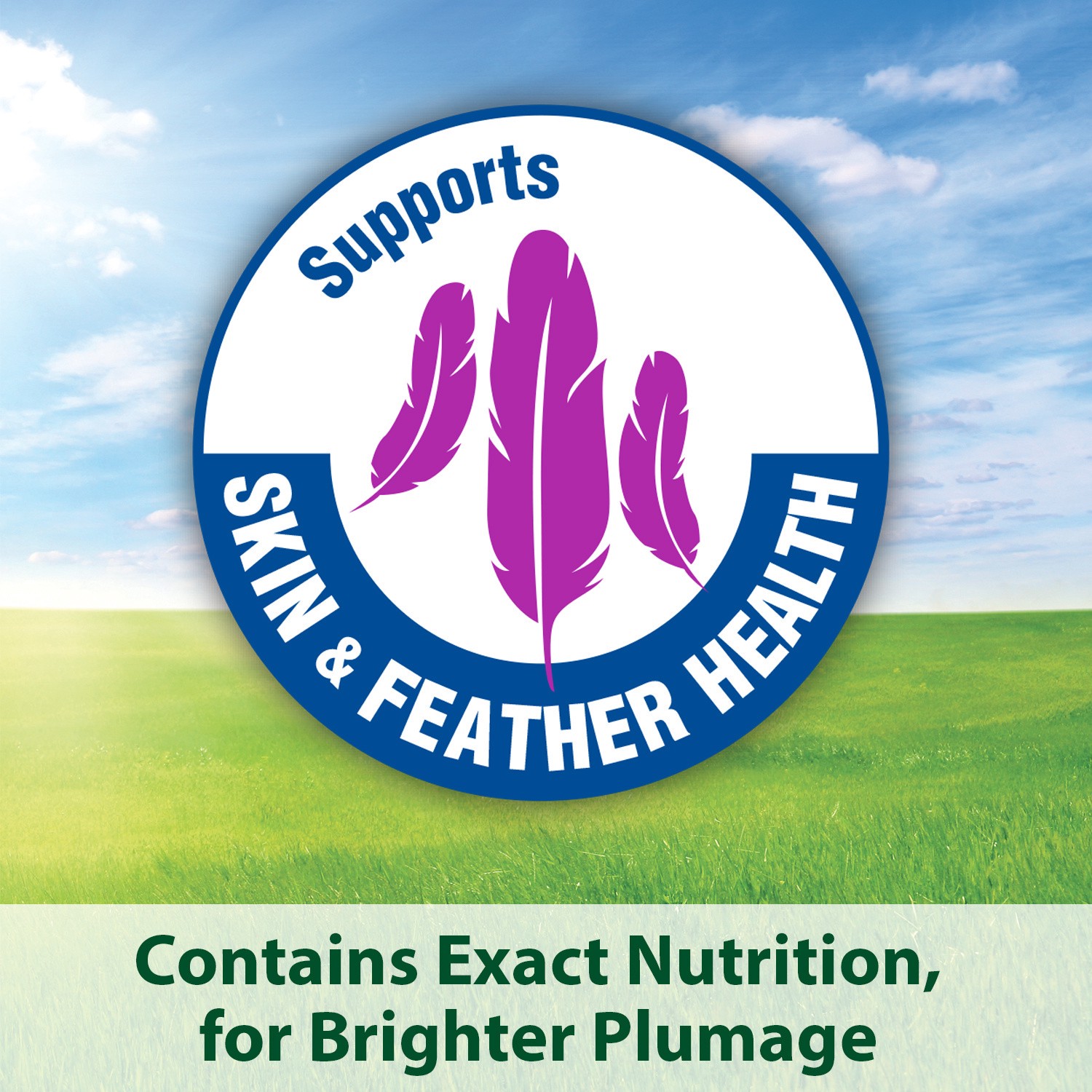 slide 8 of 8, Kaytee Forti-Diet Pro Health Feather Health Parrot Food 5lb, 1 ct