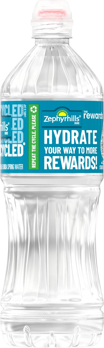 slide 3 of 5, ZEPHYRHILLS Brand 100% Natural Spring Water, 23.7-ounce plastic bottle, 23.7 oz