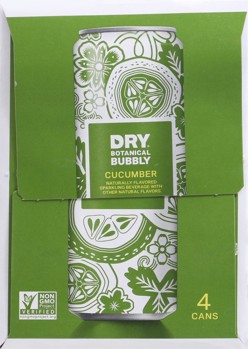 slide 5 of 14, DRY Botanical Bubbly Cucumber Sparkling Beverage 4 - 12 fl oz Cans, 4 ct