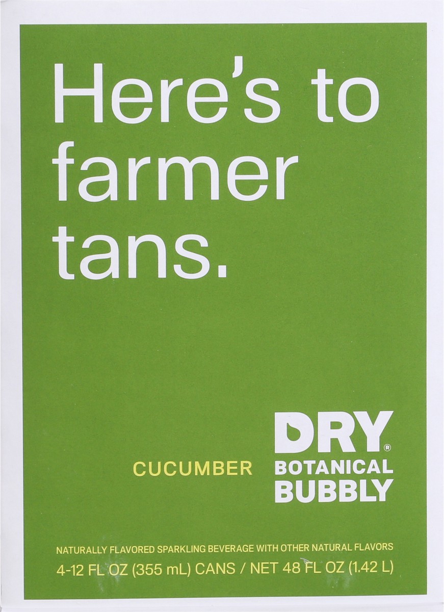 slide 9 of 14, DRY Botanical Bubbly Cucumber Sparkling Beverage 4 - 12 fl oz Cans, 4 ct