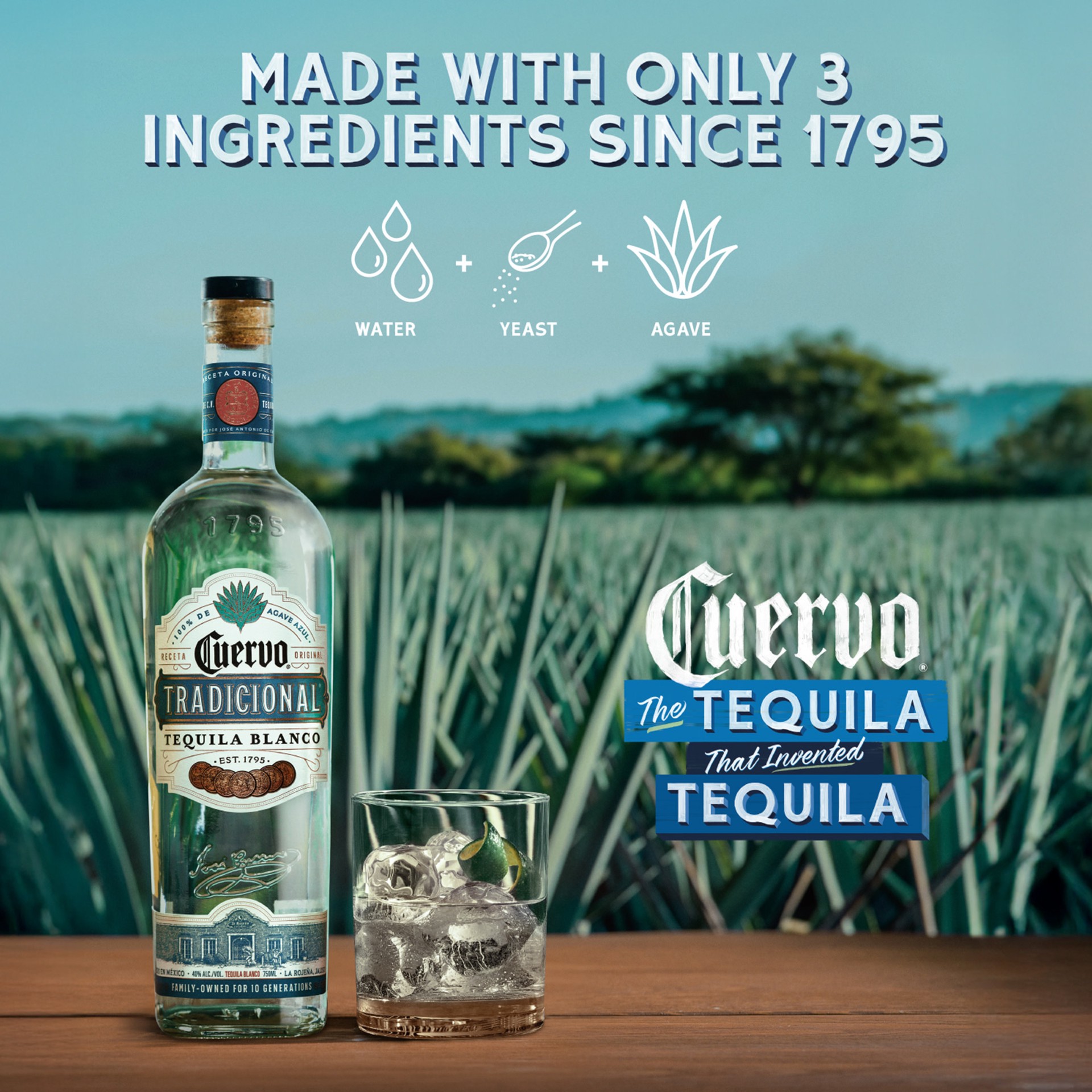 slide 9 of 10, Jose Cuervo Tradicional Blanco Tequila with Spicy Agave Nectar 80 Proof (750 ml), 750 ml