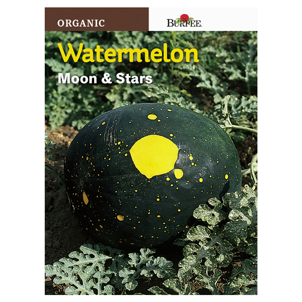 slide 1 of 1, Burpee Watermelon Moon & Stars Seeds, 1 ct