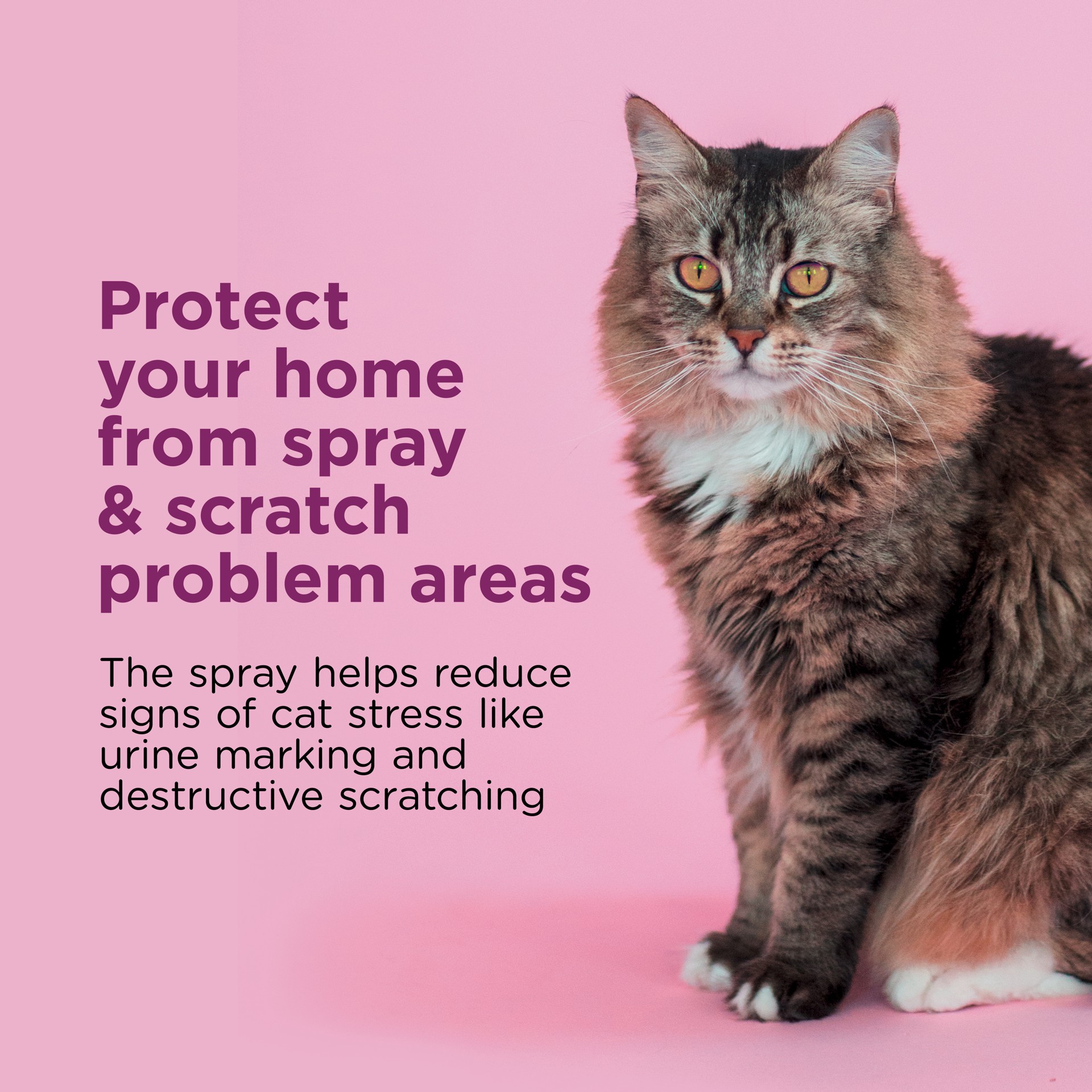 slide 4 of 6, Comfort Zone Scratch Deterrent and Cat Calming Spray, 2 ounces or 59.2 mL, 2 fl oz
