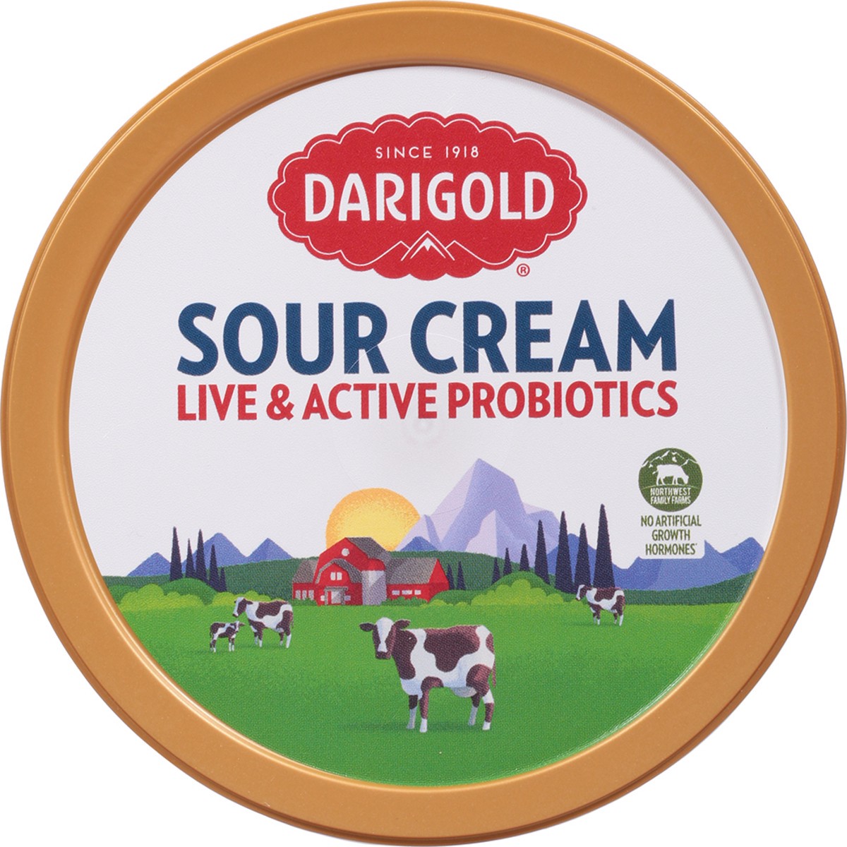 slide 11 of 13, Darigold Sour Cream 24 oz, 24 oz