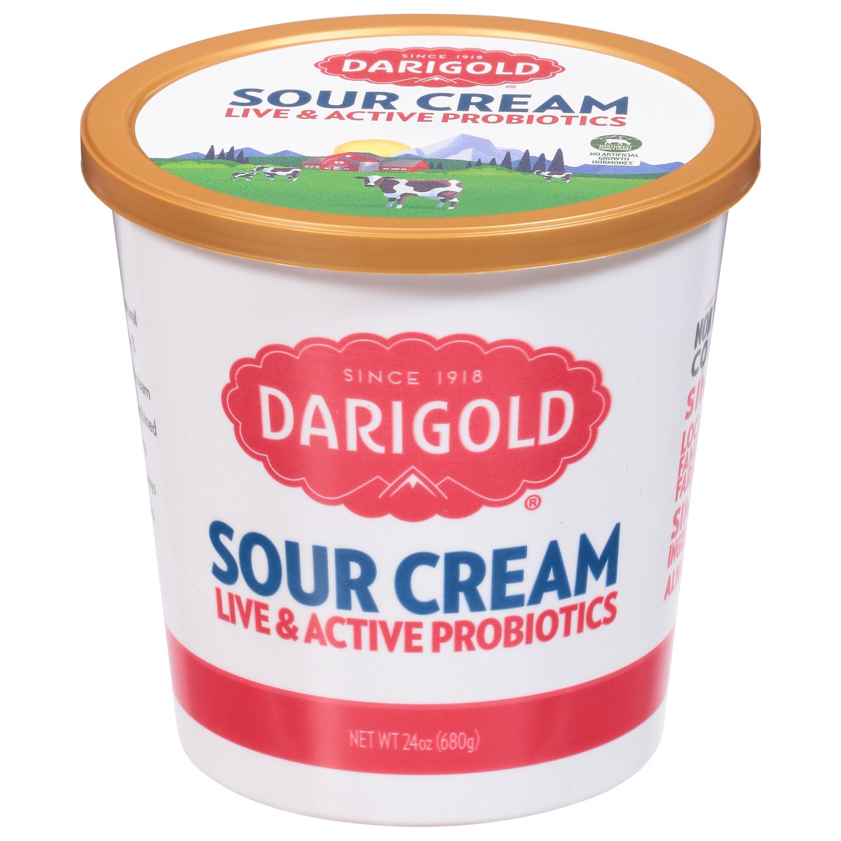slide 1 of 13, Darigold Sour Cream 24 oz, 24 oz