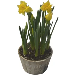 Floral & Vine Designer Bulb, 8 in