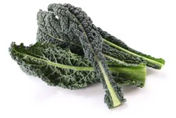 Tuscan Cabbage