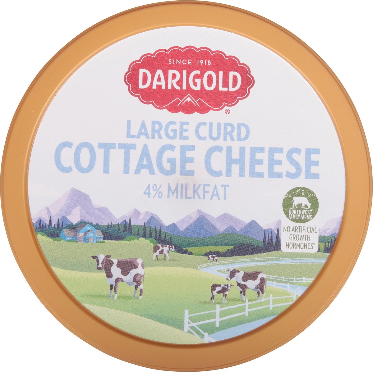 slide 4 of 13, Darigold 4% Milkfat Whole Large Curd Cottage Cheese 24 oz, 24 oz