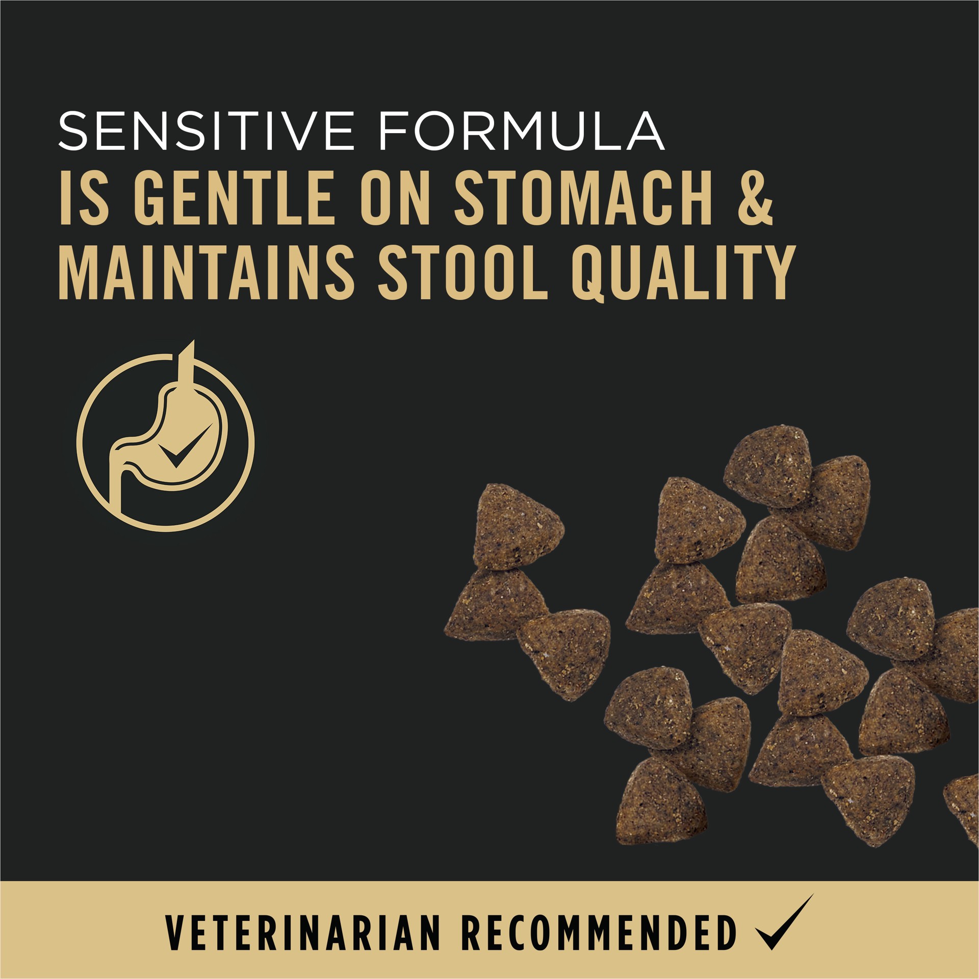 slide 9 of 9, Purina® Pro Plan Sensitive Skin & Stomach Adult Dry Dog Food - Salmon & Rice, No Corn, Wheat Or Soy, 4 lb