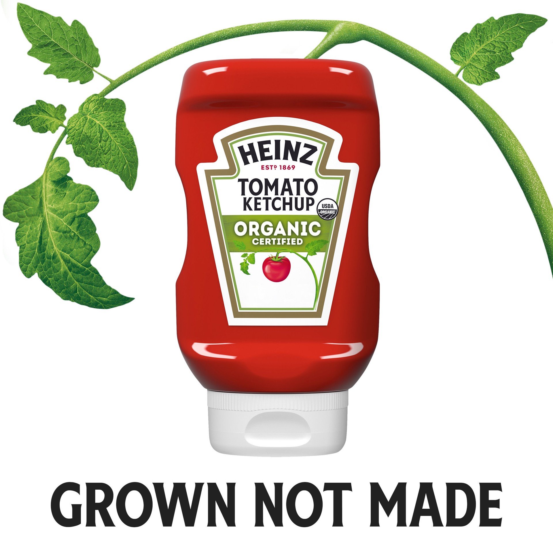 slide 2 of 5, Heinz Organic Tomato Ketchup Bottle, 14 oz
