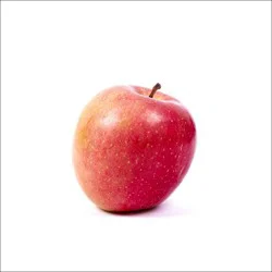 Gala Apple - New York State