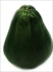 Chayote Negro