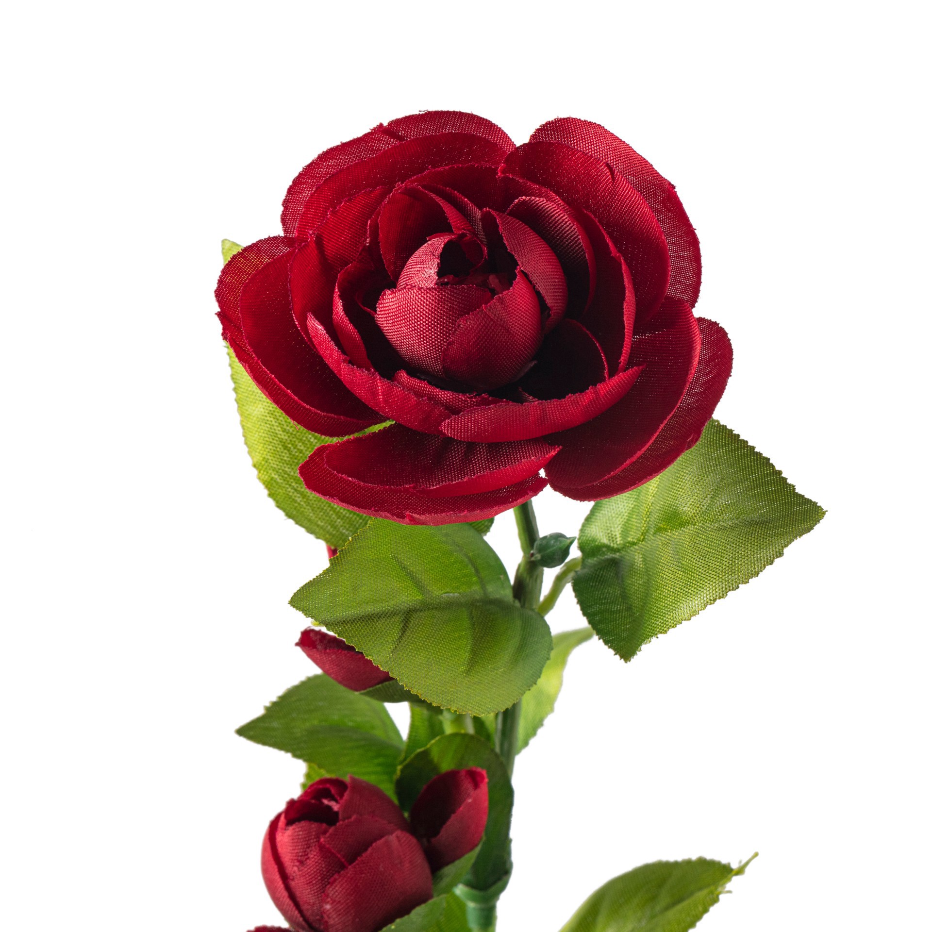 slide 3 of 4, Burgundy Ranunculus Spray By Ashland, 27 in x 6 in x 3 in