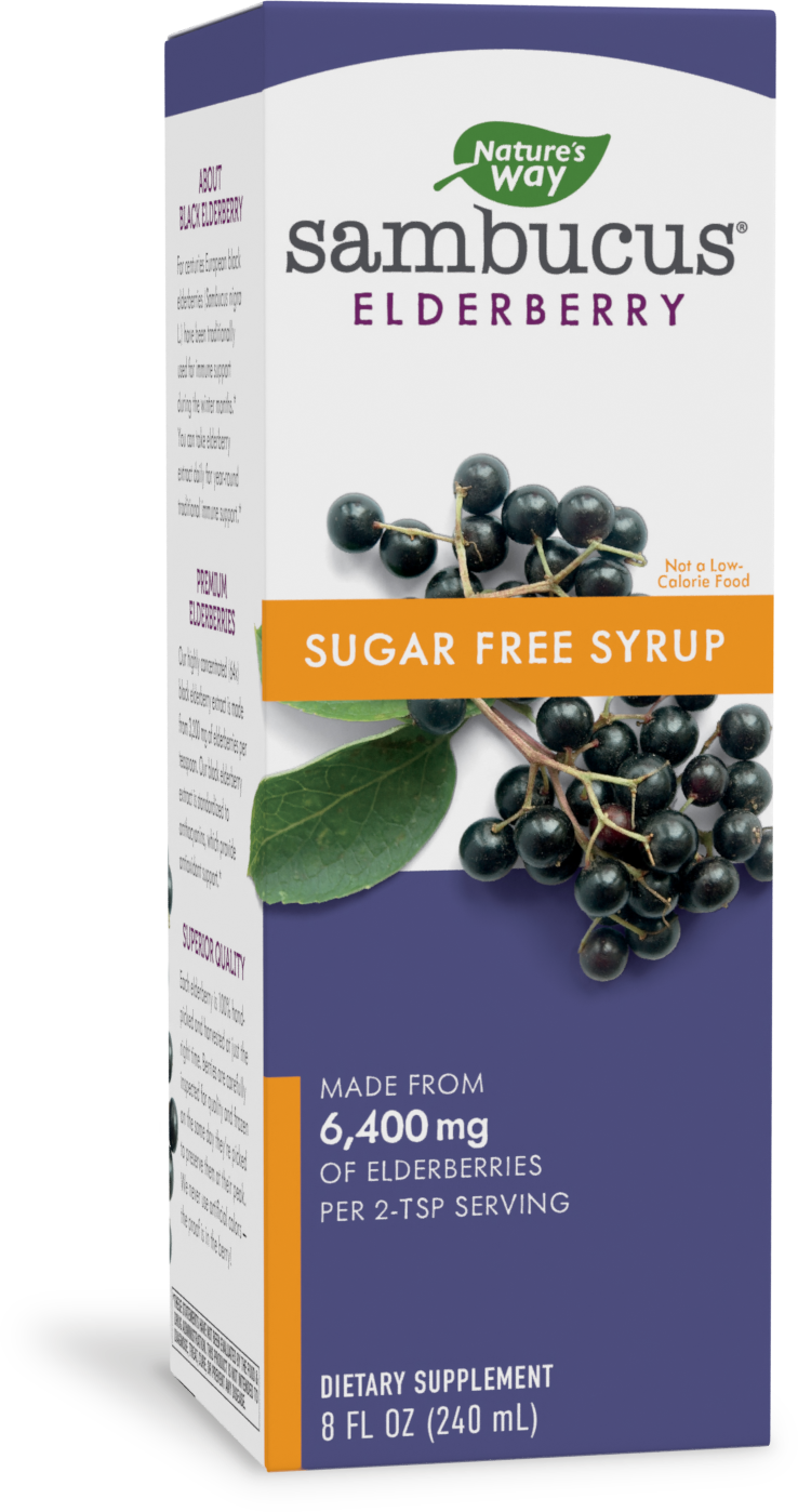 slide 1 of 1, Nature's Way Sambucus Sugar-Free Elderberry Syrup, Traditional Immune Support*, 8 Fl Oz.
, 8 fl oz