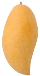 Fresh Golden Elephant Mango
