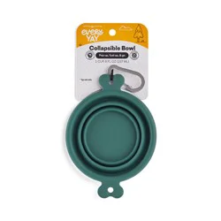 EveryYay Open-Air Eats Collapsible Bowl for Dogs 1 Cup