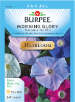 slide 1 of 1, Burpee Tall Mix Heirloom Morning Glory Seeds, 1 ct