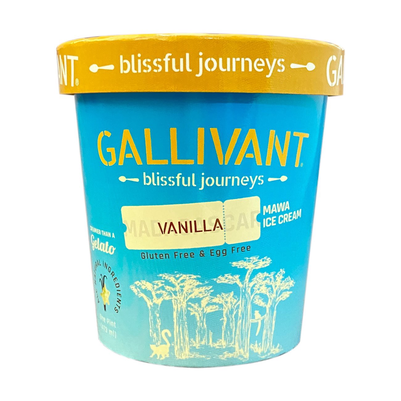 slide 1 of 1, Gallivant Mawa Gluten Free & Egg Free Madagascar Vanilla Ice Cream 1 pt, 1 pint