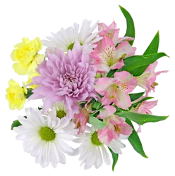 Chicklets Mixed Flower Bouquet, 4 stems