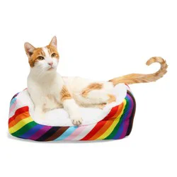 EveryYay Essentials Pride Rainbow Rectangle Cat Bed, Small
