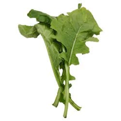 Curly Mustard Greens