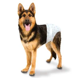Four Paws Wee-Wee Disposable Dog Diapers