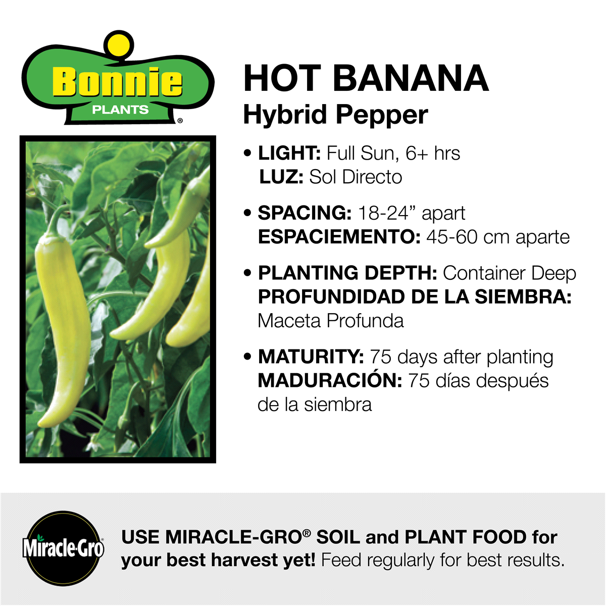 slide 8 of 9, Bonnie Plants  Pepper Banana Hot, 19.3 oz