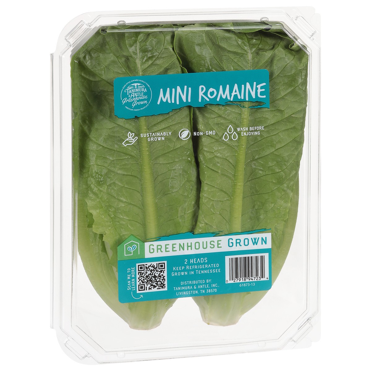 slide 3 of 9, Tanimura & Antle Hydroponic Mini Romaine Lettuce, 1 ct