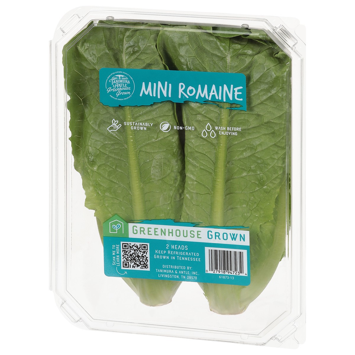 slide 6 of 9, Tanimura & Antle Hydroponic Mini Romaine Lettuce, 1 ct