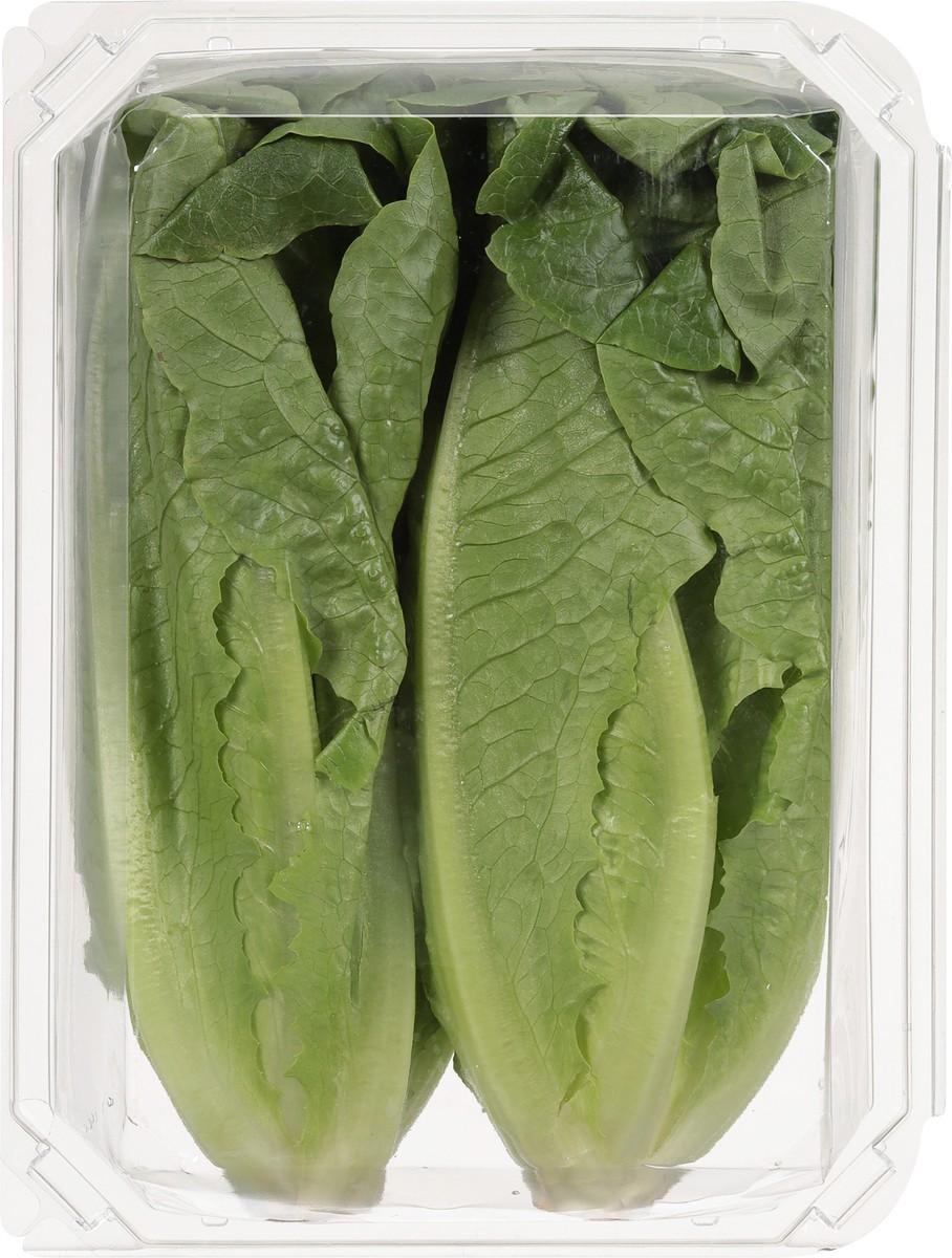 slide 8 of 9, Tanimura & Antle Hydroponic Mini Romaine Lettuce, 1 ct