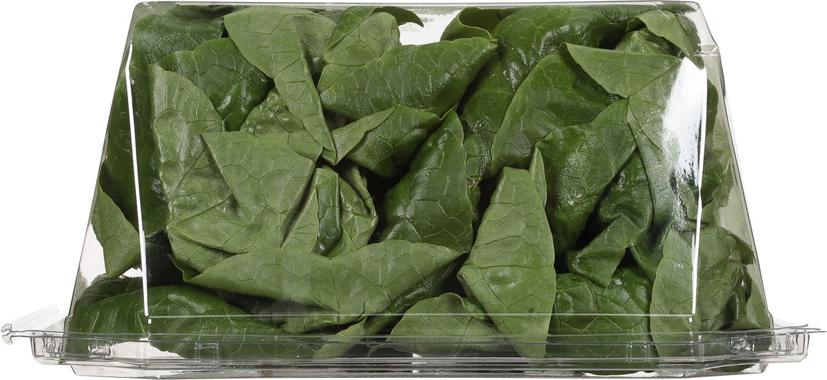 slide 9 of 9, Tanimura & Antle Hydroponic Mini Romaine Lettuce, 1 ct