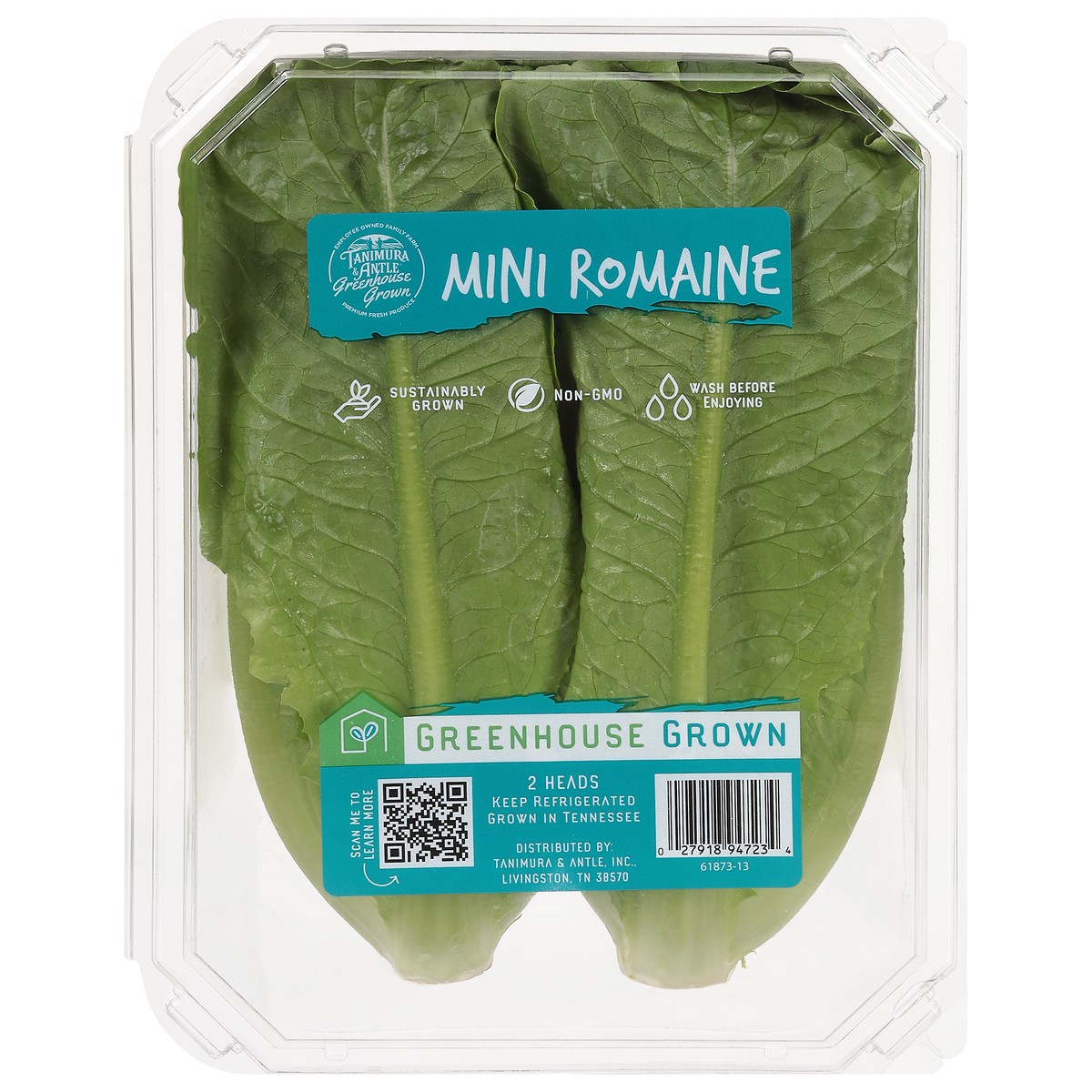 slide 1 of 9, Tanimura & Antle Hydroponic Mini Romaine Lettuce, 1 ct