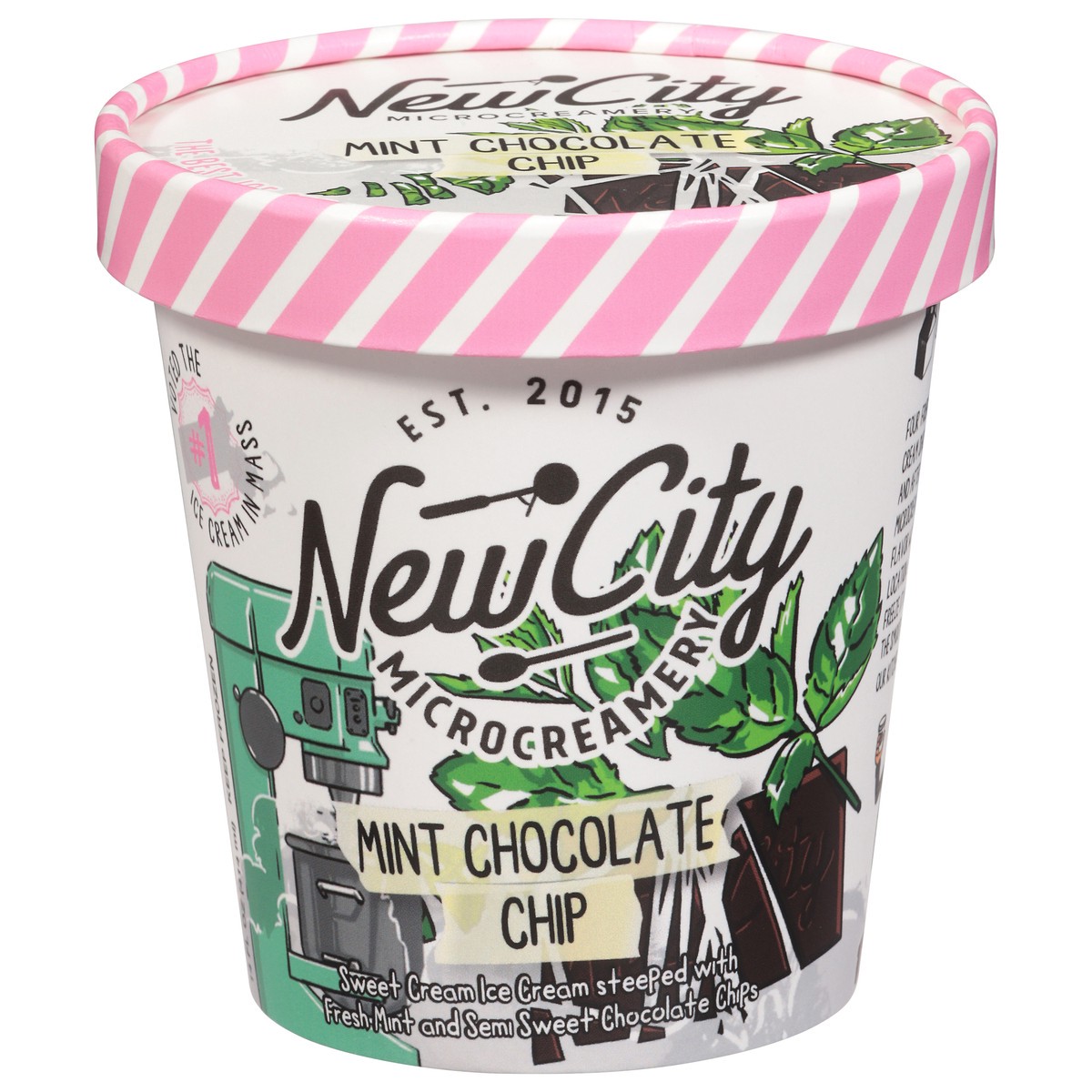 slide 3 of 15, New City Microcreamery Mint Chocolate Chip Ice Cream 14 fl oz, 14 fl oz