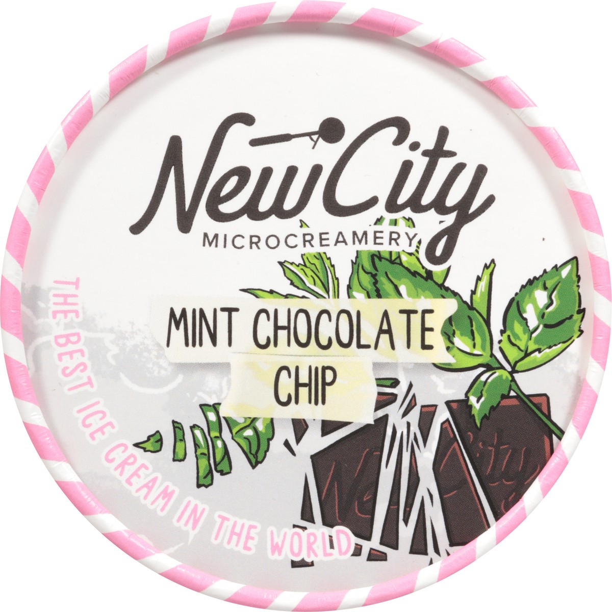 slide 4 of 15, New City Microcreamery Mint Chocolate Chip Ice Cream 14 fl oz, 14 fl oz
