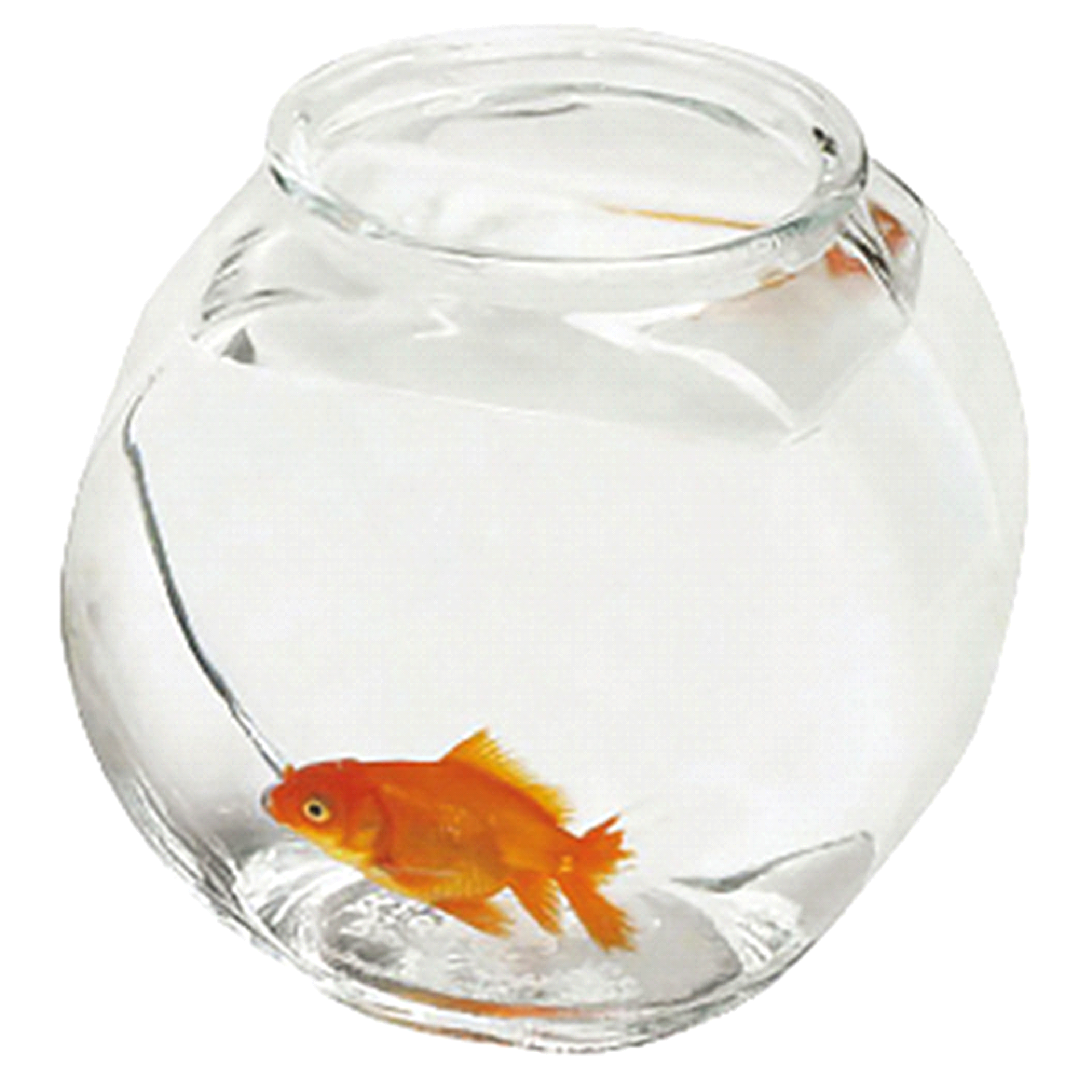 slide 1 of 1, Anchor Hocking Round Glass Fish Bowl, 1/2 gal