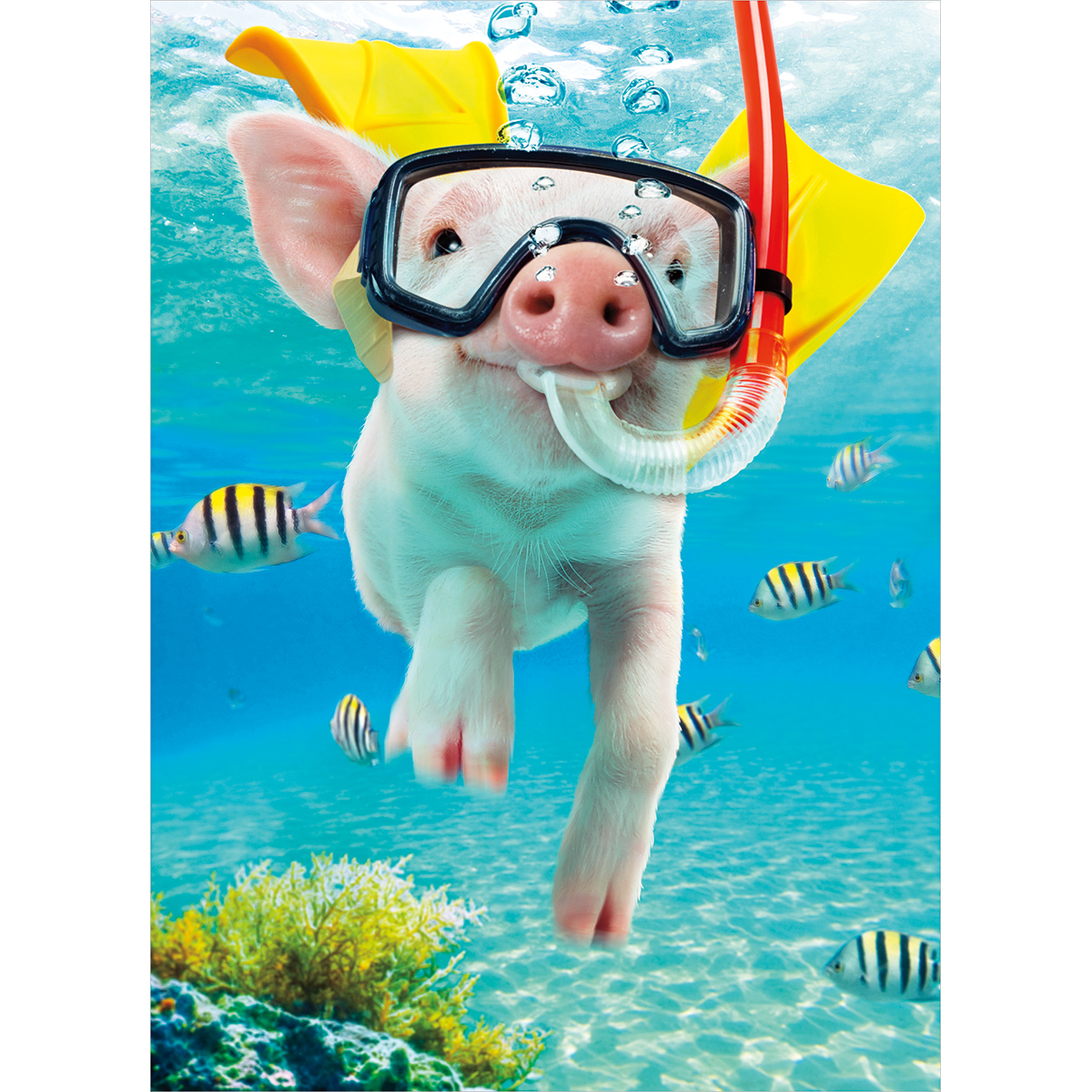 slide 1 of 1, Avanti Card Thank You Pig Snorkeling, 1 ct